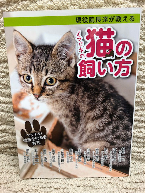 現役院長達が教えるイマドキの猫の飼い方